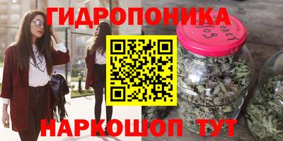прущие крисы Ипатово