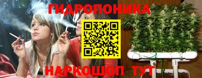прущие крисы Ипатово