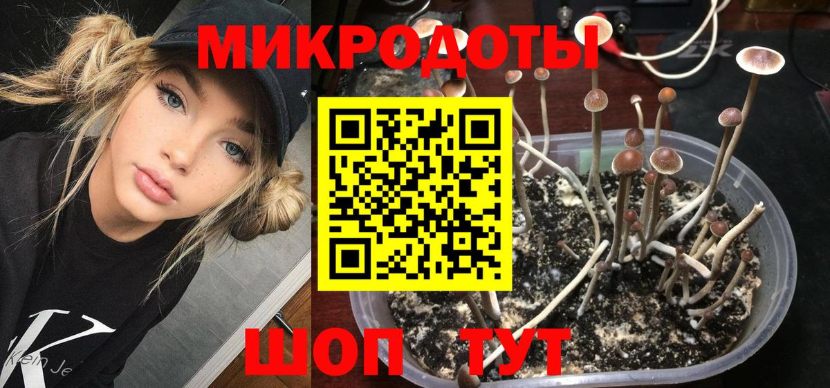Псилоцибиновые грибы MAGIC MUSHROOMS  Вход с VPN  Мыски 