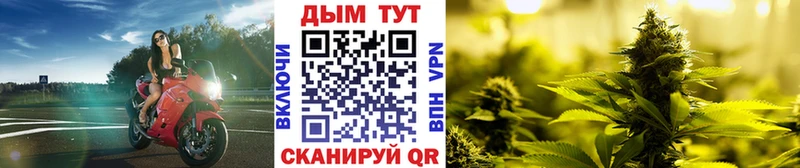 Каннабис планчик  Мыски 